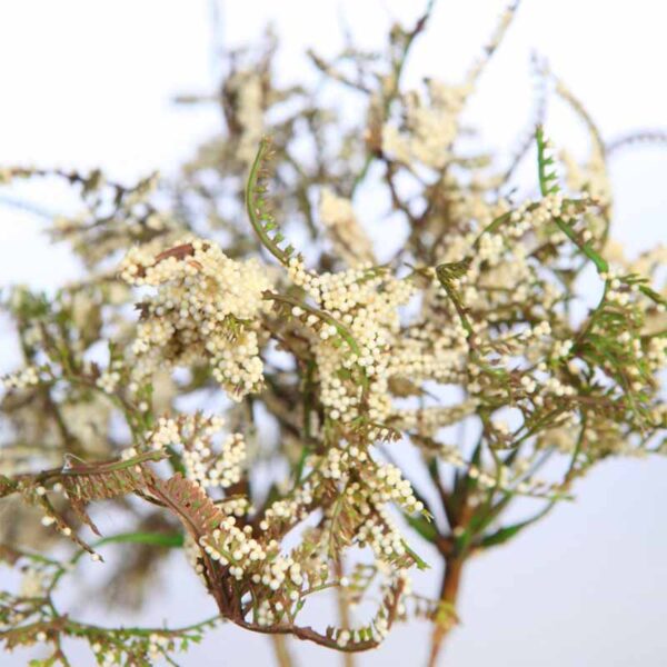 VARA DE TATARICA ARTIFICIAL 42CM - Imagen 4