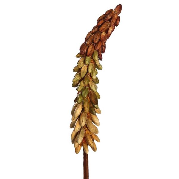 VARA EXOTICA SECO 75CM - Imagen 2