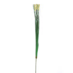 VARA GRASS CON BOLITAS 65CM - Imagen 3