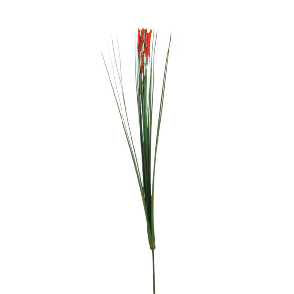 VARA GRASS CON BOLITAS 65CM 55191 rojo VARA GRASS CON BOLITAS 65CM - Imagen 1