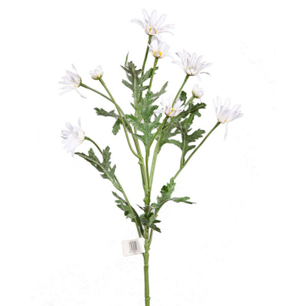 VARA MARGARITA ASTER, 45 CM - Imagen 3