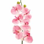 VARA ORQUIDEA NATURE 80CM