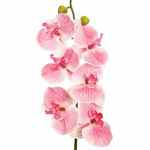 VARA ORQUIDEA NATURE 80CM - Imagen 1