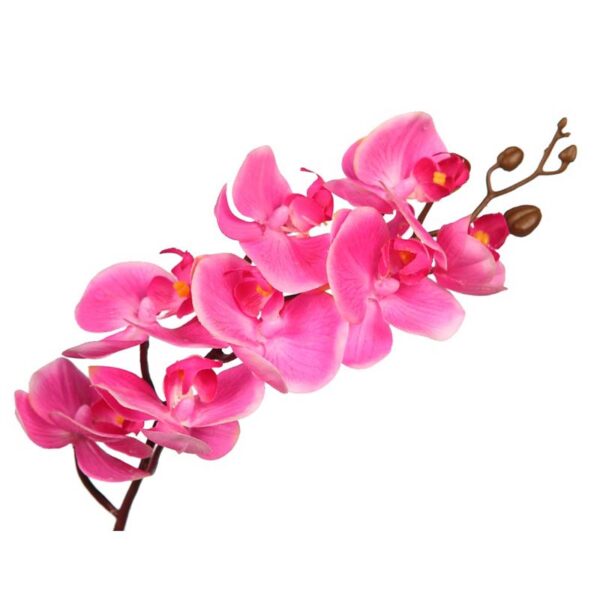 VARA ORQUIDEA - Imagen 2