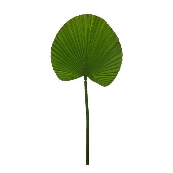 HOJA PALMITO ARTIFICIAL 54CM - Imagen 1