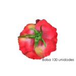 BOLSA DE 100 CABEZAS DE ROSAS Ø 10CM - Imagen 3