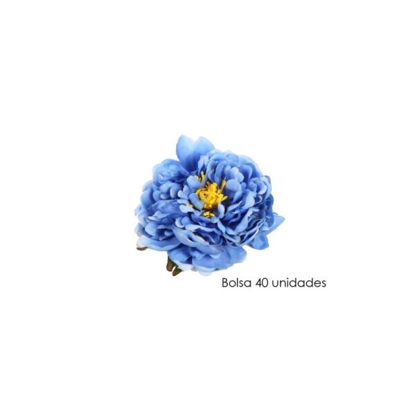 Y0104_0 BOLSA DE 40 CABEZAS DE PEONIA Ø 14CM - Imagen 1