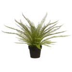PLANTA DE HELECHO EN MACETA 70CM
