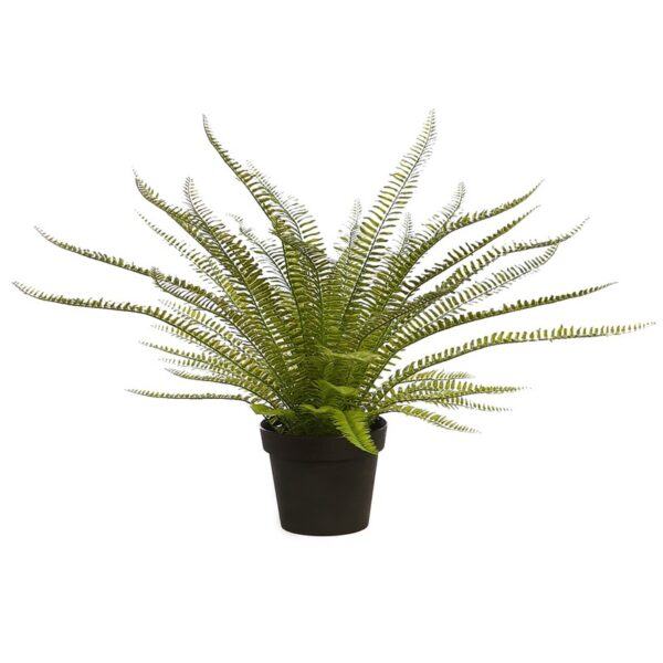 PLANTA DE HELECHO EN MACETA 70CM - Imagen 1