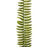 HOJA DE HELECHO 68 CM - Imagen 2