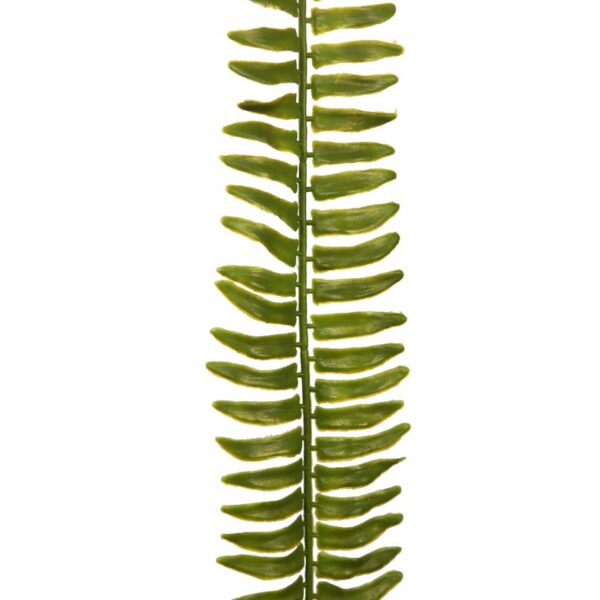 HOJA DE HELECHO 68 CM - Imagen 2