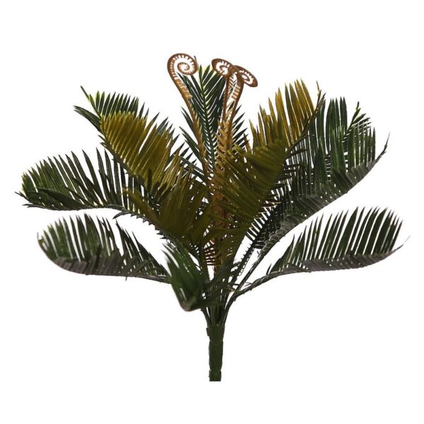 PLANTA CYCA 34CM - Imagen 1