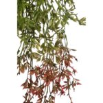 COLGANTE HOJAS 60CM - Imagen 2