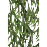 COLGANTE CUERNO DE ALCE 80CM - Imagen 5