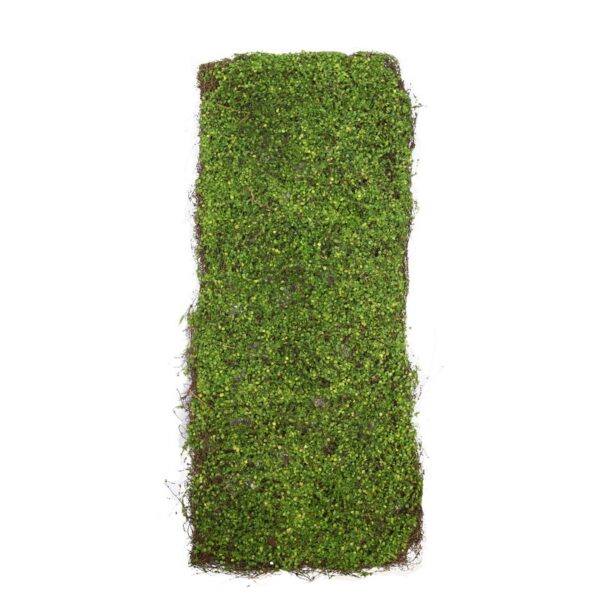 PLACA BOJO - Imagen 1