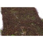 PLACA BOJO - Imagen 3