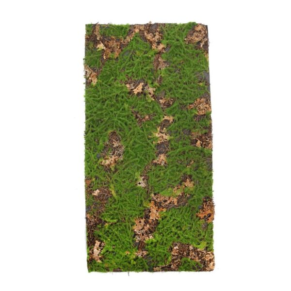 PLACA MUSGO HOJA 100X50CM - Imagen 1