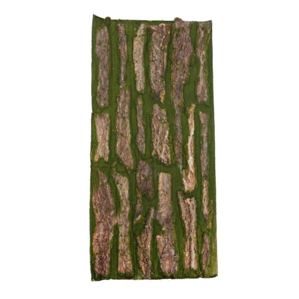 Y0163_0 PLACA MUSGO Y MADERA 100X50CM - Imagen 1