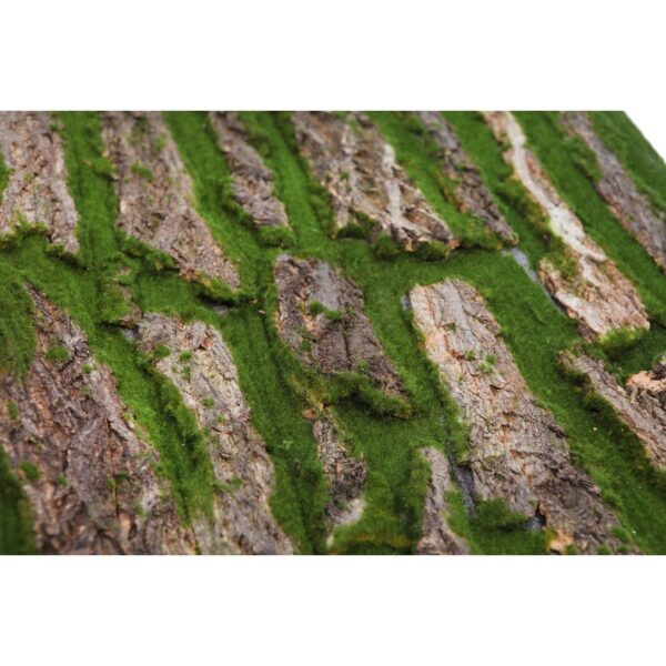 PLACA MUSGO Y MADERA 100X50CM - Imagen 2