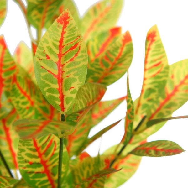 MATA CROTON EN MACETA - Imagen 2