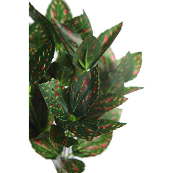 MATA TRADESCANTIA 35CM - Imagen 2