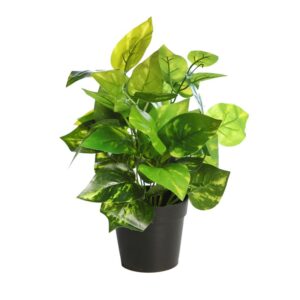 MATA POTO EN MACETA 35CM