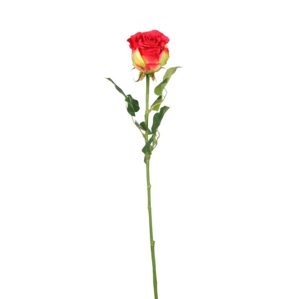 VARA CAPULLO - Imagen 1