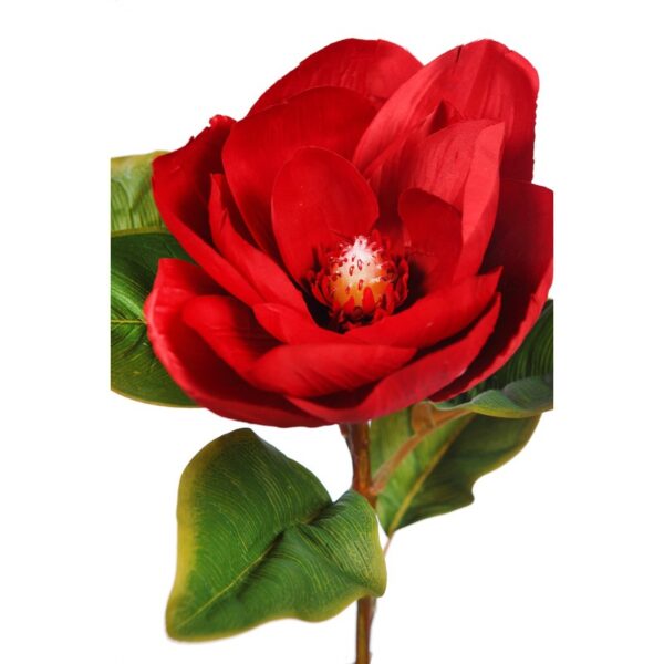 VARA MAGNOLIA - Imagen 2