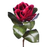 RAMA MAGNOLIA 70CM - Imagen 2