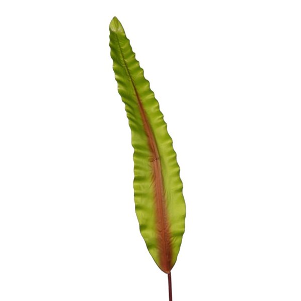 HOJA DE ASPLENIUM 91CM - Imagen 2