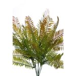 MATA HELECHOSA - Imagen 2