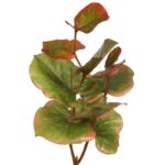 VARA HOJAS - Imagen 4