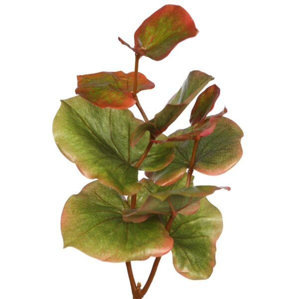 VARA HOJAS - Imagen 4