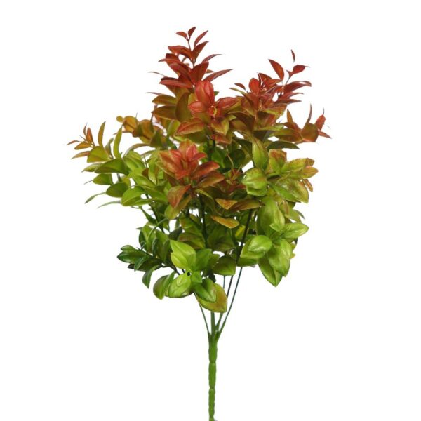 Y0203_0 EUCALIPTO - Imagen 1