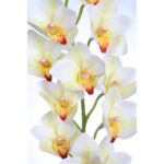 ORQUIDEA CYMBIDIUM ARTIFICIAL 105CM - Imagen 2