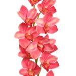 ORQUIDEA CYMBIDIUM ARTIFICIAL 105CM - Imagen 6