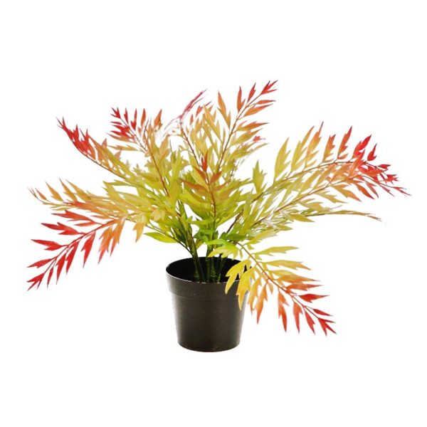 MATA HELECHOSA EN MACETA 33CM - Imagen 1