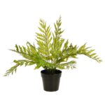 MATA HELECHOSA EN MACETA 33CM - Imagen 3