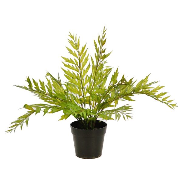 MATA HELECHOSA EN MACETA 33CM - Imagen 3