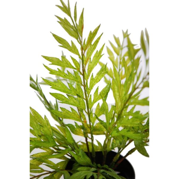 MATA HELECHOSA EN MACETA 33CM - Imagen 4