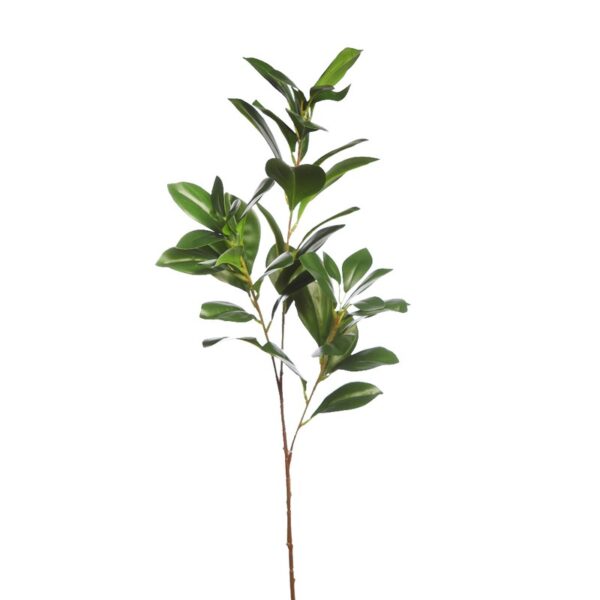 Y0376.45_0 VARA RUSCUS ARTIFICIAL 70CM - Imagen 1