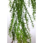 COLGANTE ESPARRAGUERA ARTIFICIAL 77CM - Imagen 4