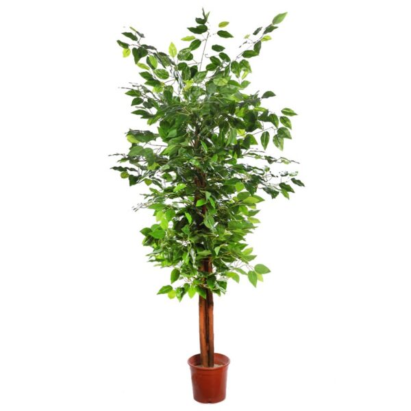 FICUS ARTIFICIAL ARBOL 145CM - Imagen 1