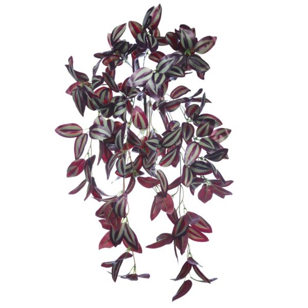 Y0416.09_0 PLANTA COLGANTE TRADESCANTIA 50CM - Imagen 1