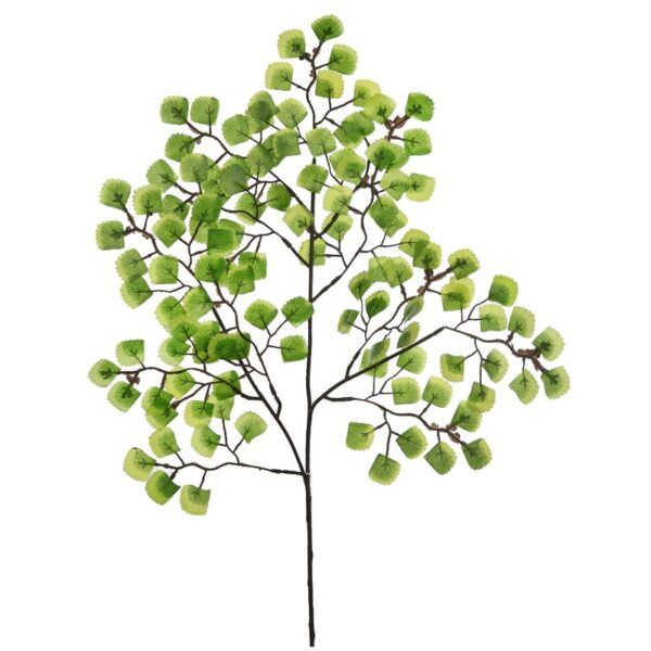 Y0420.28_0 VARA HOJA MINI CABELLO DE VENUS 54CM - Imagen 1