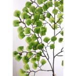 VARA HOJA MINI CABELLO DE VENUS 54CM - Imagen 2