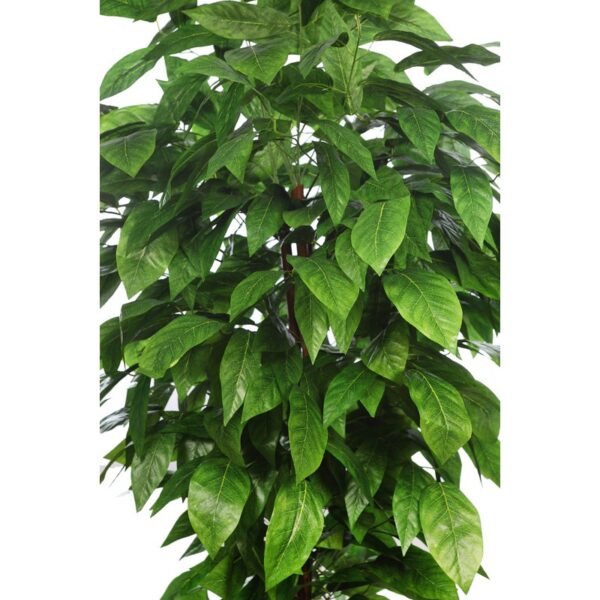 ARBOL ARTIFICIAL MANGO HOJA ANCHA 185CM - Imagen 3