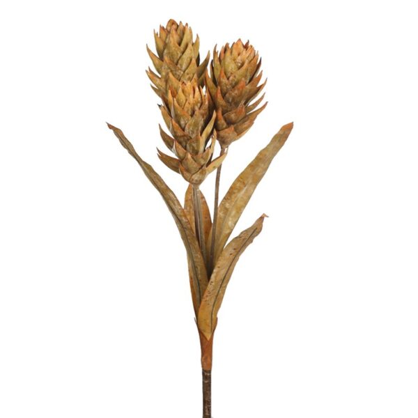 VARA GUZMANIA VINTAGE 74CM - Imagen 1