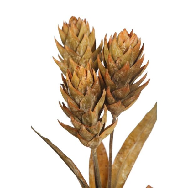 VARA GUZMANIA VINTAGE 74CM - Imagen 2