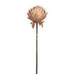 PROTEA VINTAGE GIGANTE 87CM - Imagen 2